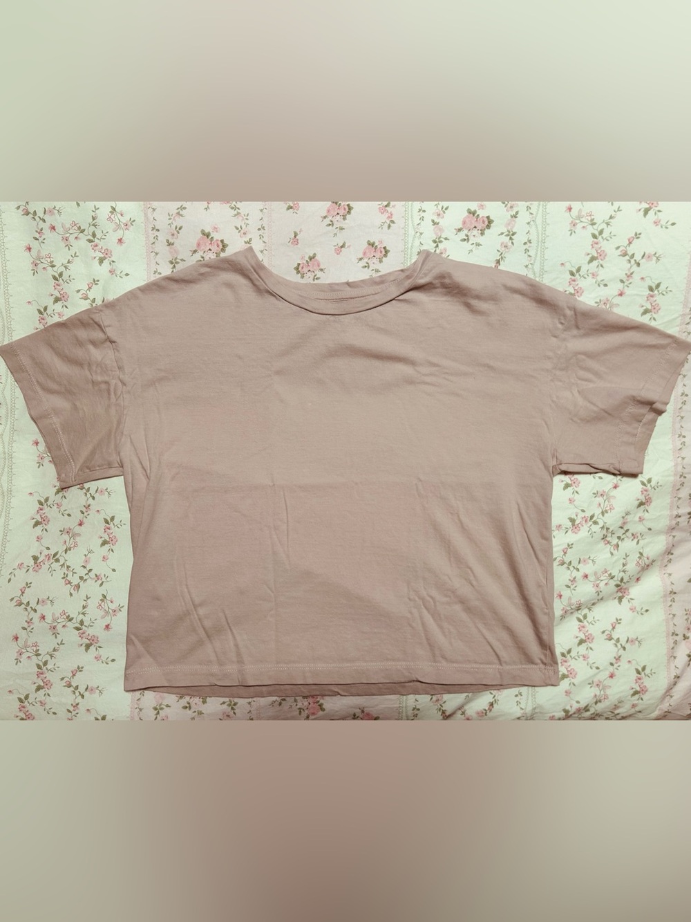 ISA & ELLA Organic Cotton Crop Tee in Dusty Pink
